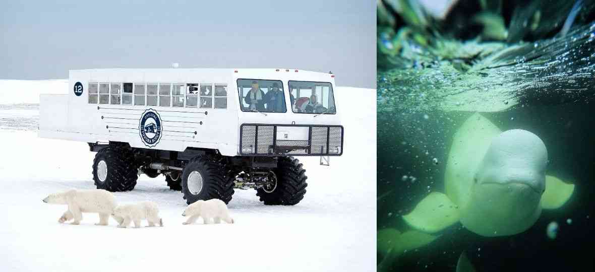 Churchill, Manitoba