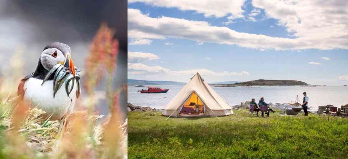 Glenapp Castle Sea Safari
