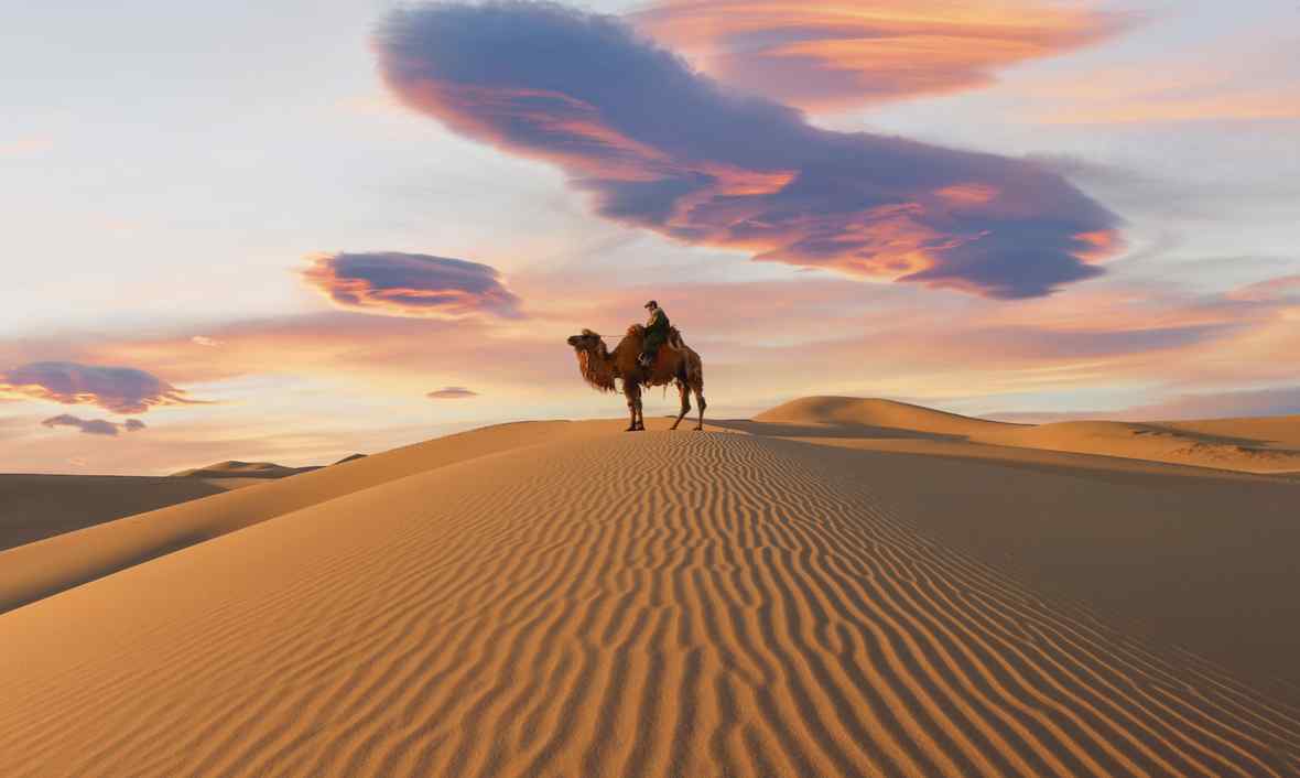 Gobi Desert