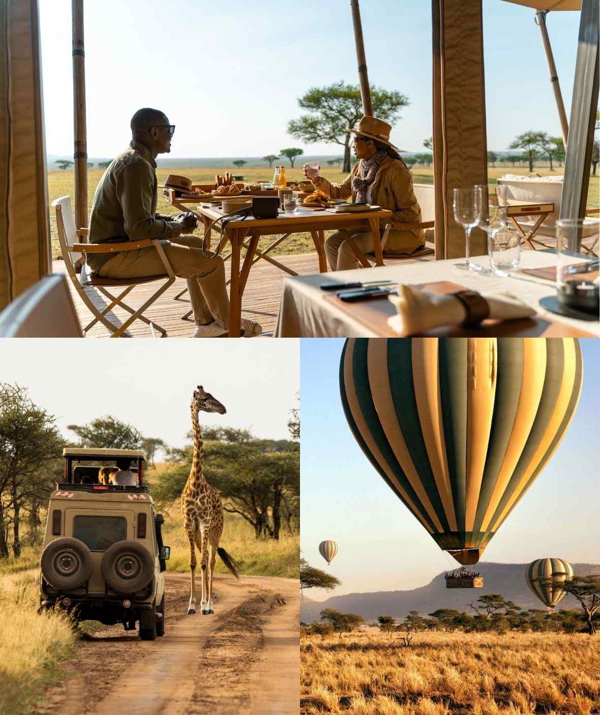 Safari Camps