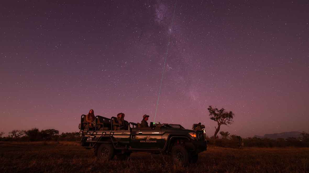 Night Safari Royal Malewane, South Africa