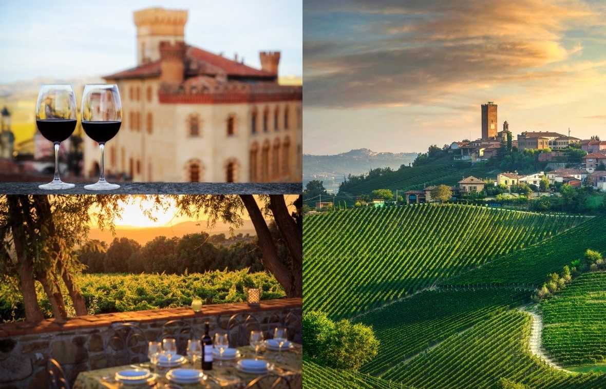 Barolo | Langhe | Barbaresco Piedmont