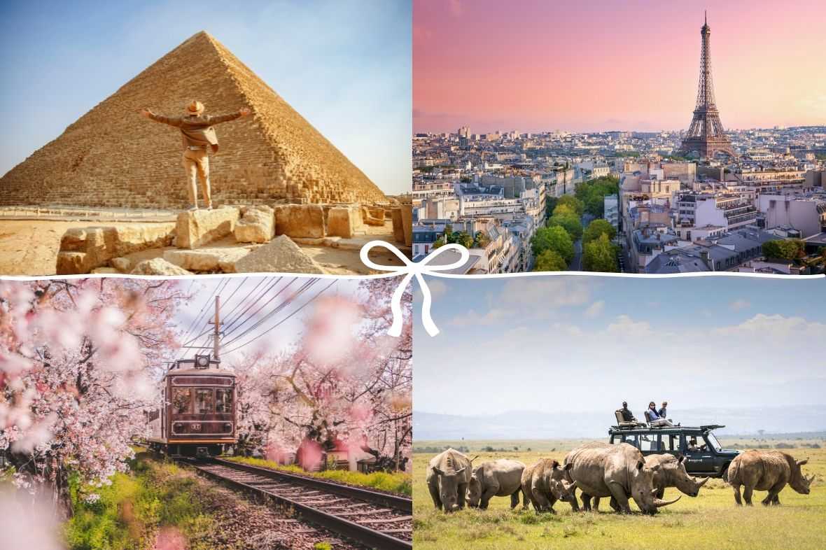 Egypt | Japan | Paris France | Solio Lodge