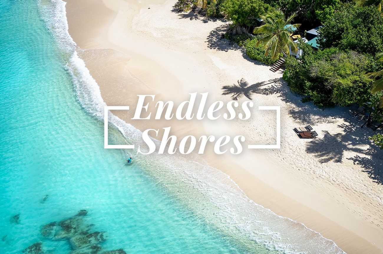 Endless Shores